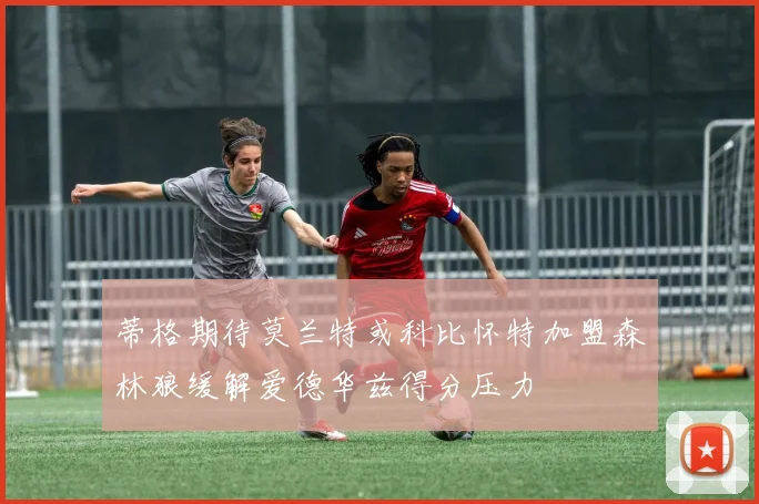 蒂格期待莫兰特或科比怀特加盟森林狼缓解爱德华兹得分压力