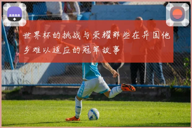 世界杯的挑战与荣耀那些在异国他乡难以适应的冠军故事